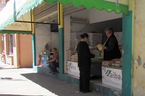 a shop selling only eggs in Tirana