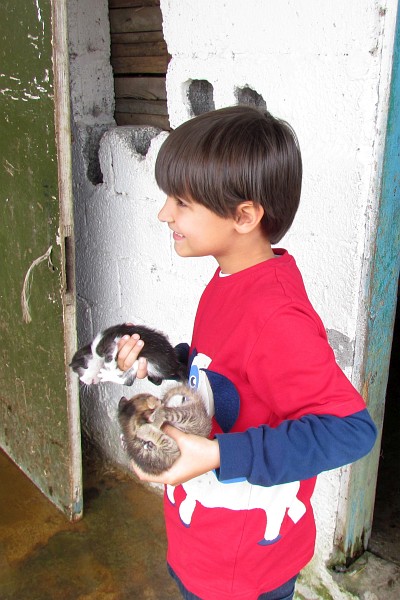 Samuel made friends with two kittens