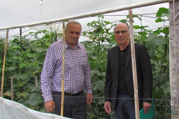 Stavri and Dini with the cucumber plants