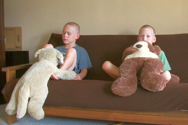 Nathan and Jared play with their stuffed dogs at their home