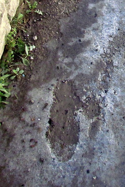 footprint in broken ice puddle