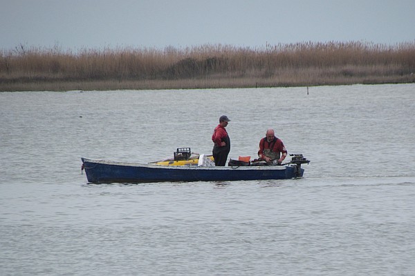 fishermen in their boat