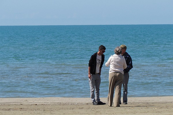 Klodi, Elsie and Allen investigating the beach