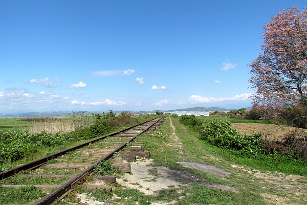 railroad tracis elevated above the marshy area in the viicintty