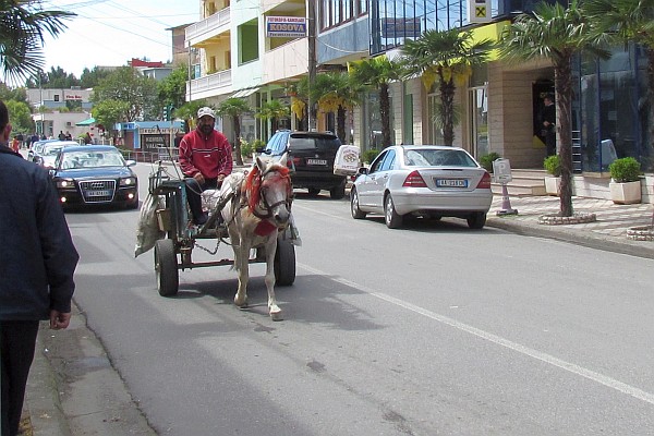 a donkey (or pony) cart