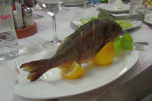 Koc (fish) served standing upp