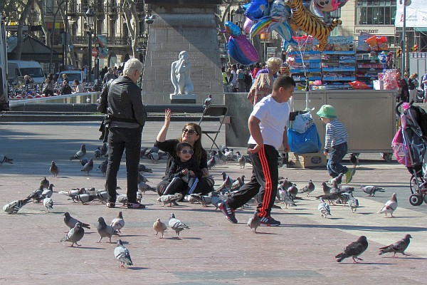 And pigeons and more pigeons