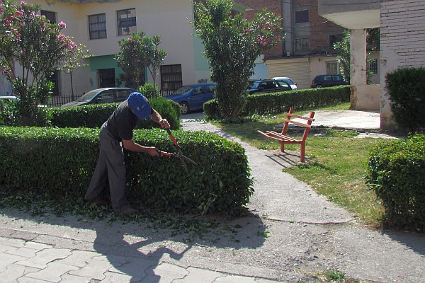 a city worker trims the hedge arounnd a small park