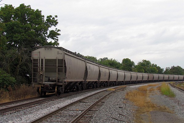 grain cars right at the Pilgrim's feed mill