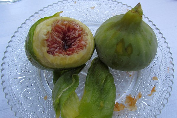 a fig after I took a bite from it
