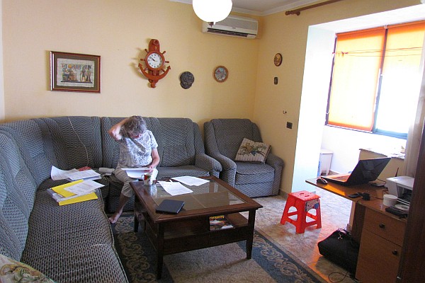 Elsie ponders financial reports in our living room