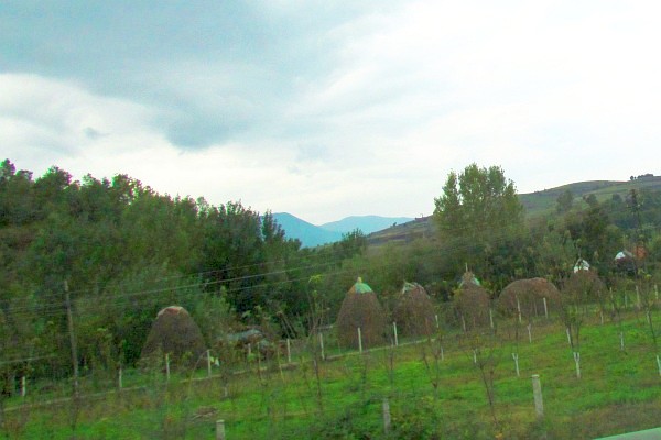 haystacks right in a field