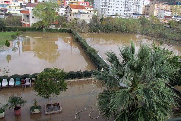 water sits in LAC's backyard and the neighbor's garden