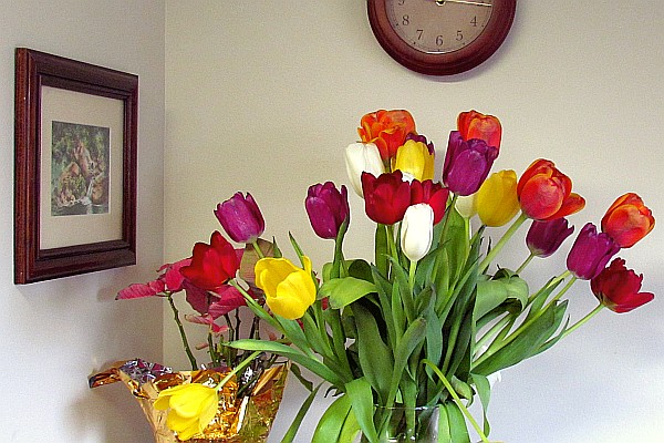 tulip bouguet given by our children