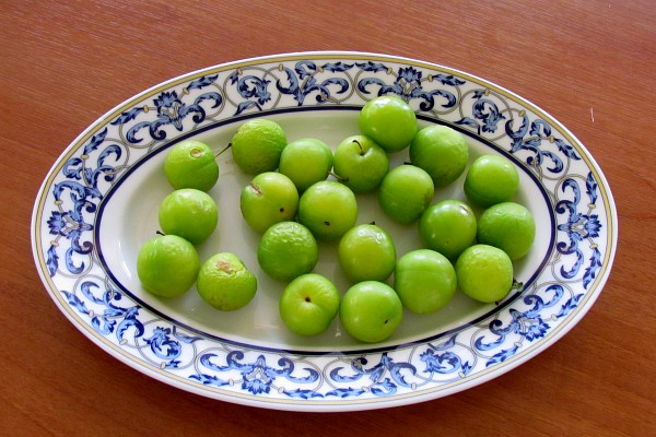 kimçë fruit