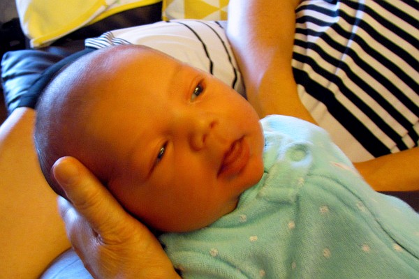 Kiara on day 12