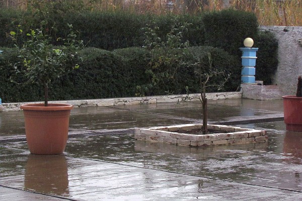 and the rain splashes on the concrete at LAC