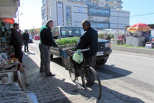 at a shop across from the market bedding plants are sold