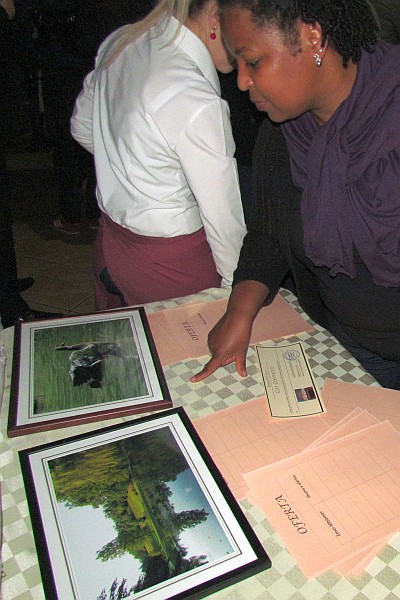 two of my photos were on silent auction