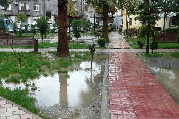 rain puddles in the park near our apartment building