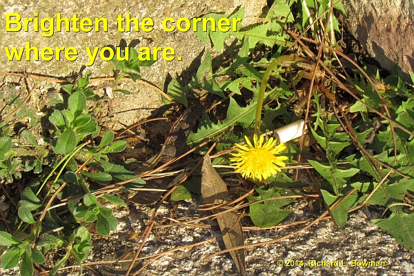 "Brighten the corner where you are."