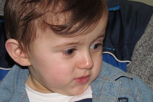 one year old observes life