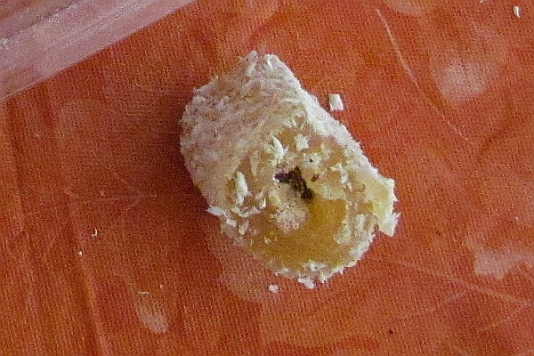 Albania "Turkish Delight"