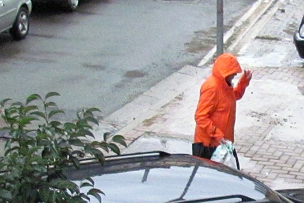 Elsie comes back to our apartment building in the rain
