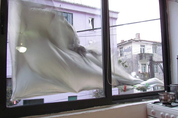 sheets look like sails in the wind as they dry