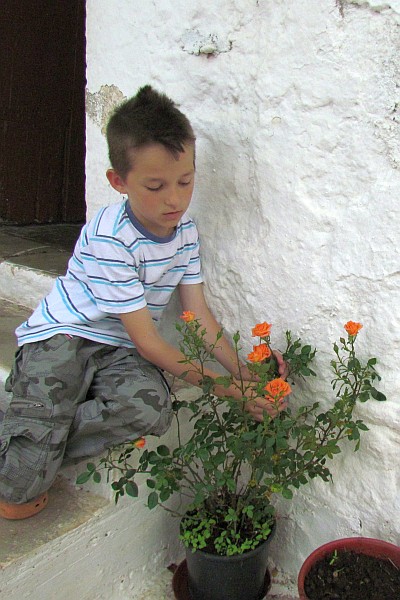 Pjetër helps me capture some rose photos