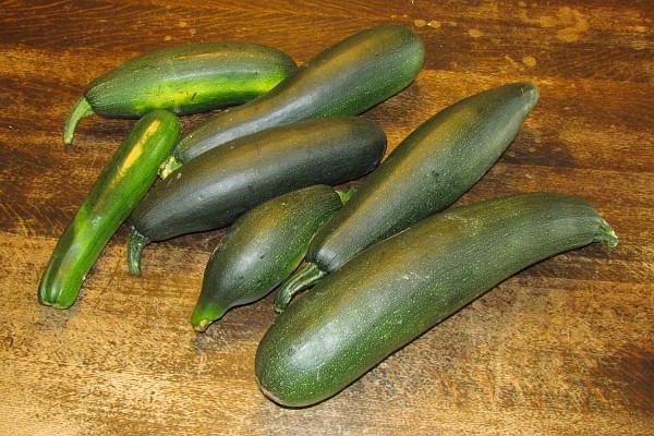 Zucchini