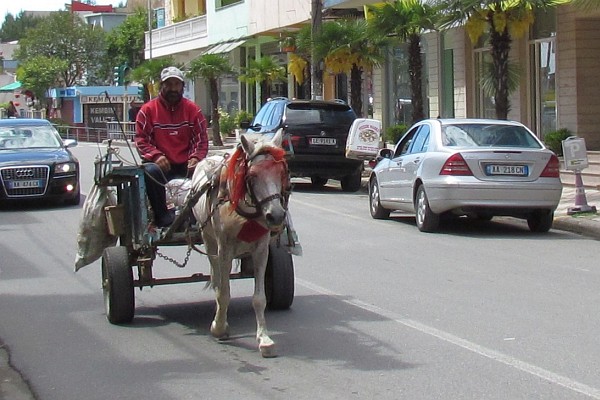 donkey/pony cart