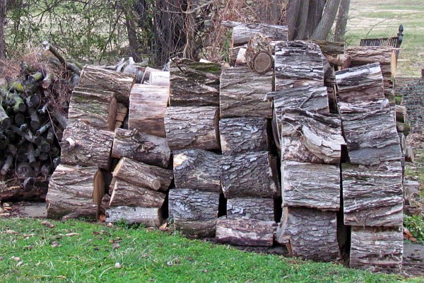 my woodpile