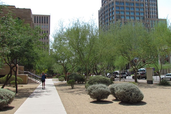 Phoenix, AZ, USA, trees and buildings