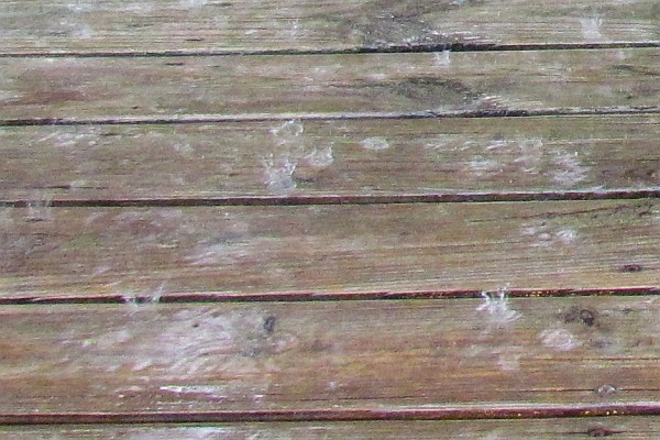 rain drops on our deck (I)