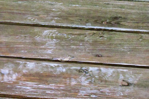 raindrops on our deck (II)