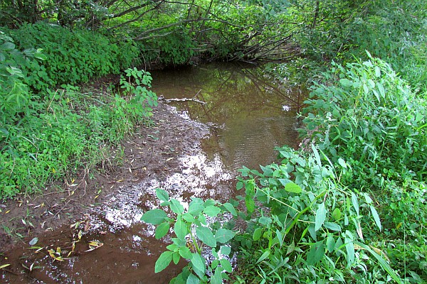 a small stream in PA