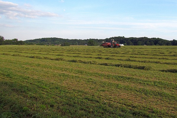 cut hay field