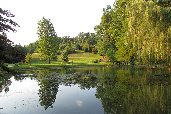 lake at the JMU arboretum