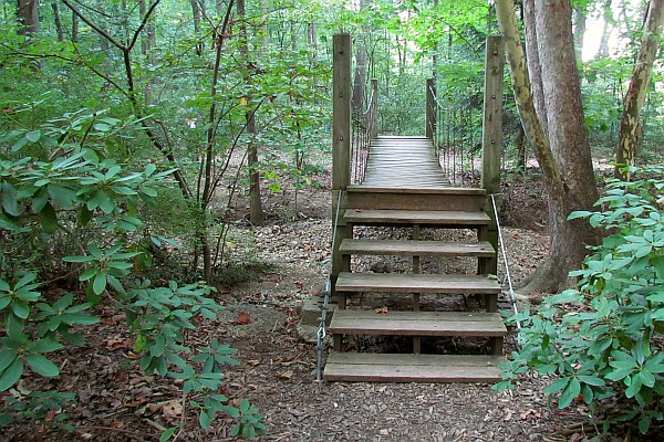 swinging bridge at the JMU arboretum