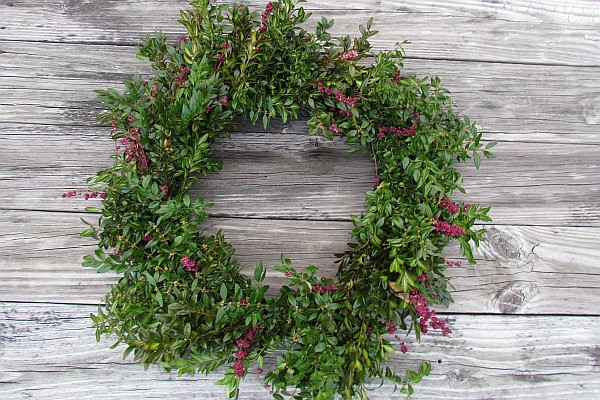 Christmas wreath against wooden planks