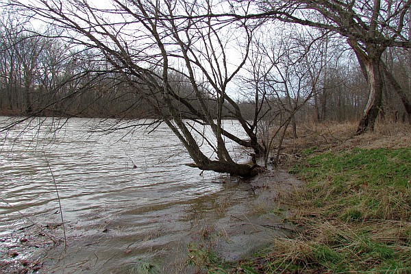 flood stage South Fork Shenandoay River, VA