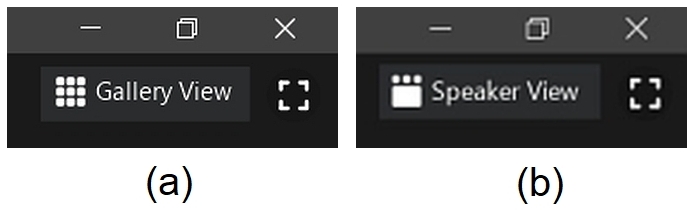 view a is of the controls for galley view and b is for the speaker view